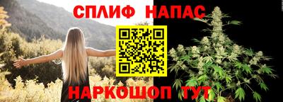 Альфа ПВП Малгобек