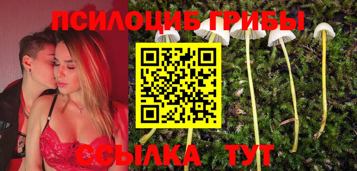 Псилоцибиновые грибы MAGIC MUSHROOMS Обь